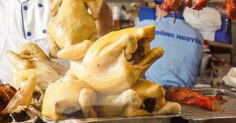 Gà Mái Dầu là gì và vì sao phải nuôi trên bốn tháng