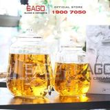 Các loại bình thủy tinh ngâm rượu thuốc chịu lực tốt nhất