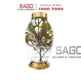 Nên chọn bình ngâm rượu dung tích bao nhiêu