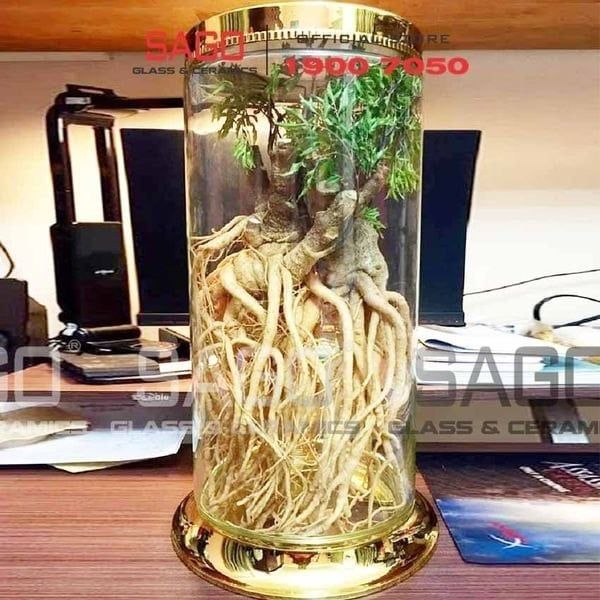 7 sai lầm thường gặp khi chọn bình ngâm rượu và cách khắc phục