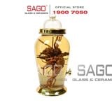 Mẫu bình ngâm rượu thủy tinh có vòi bán chạy nhất năm nay