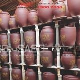 Chum ngâm rượu Bát Tràng dùng để ngâm rượu có tốt không