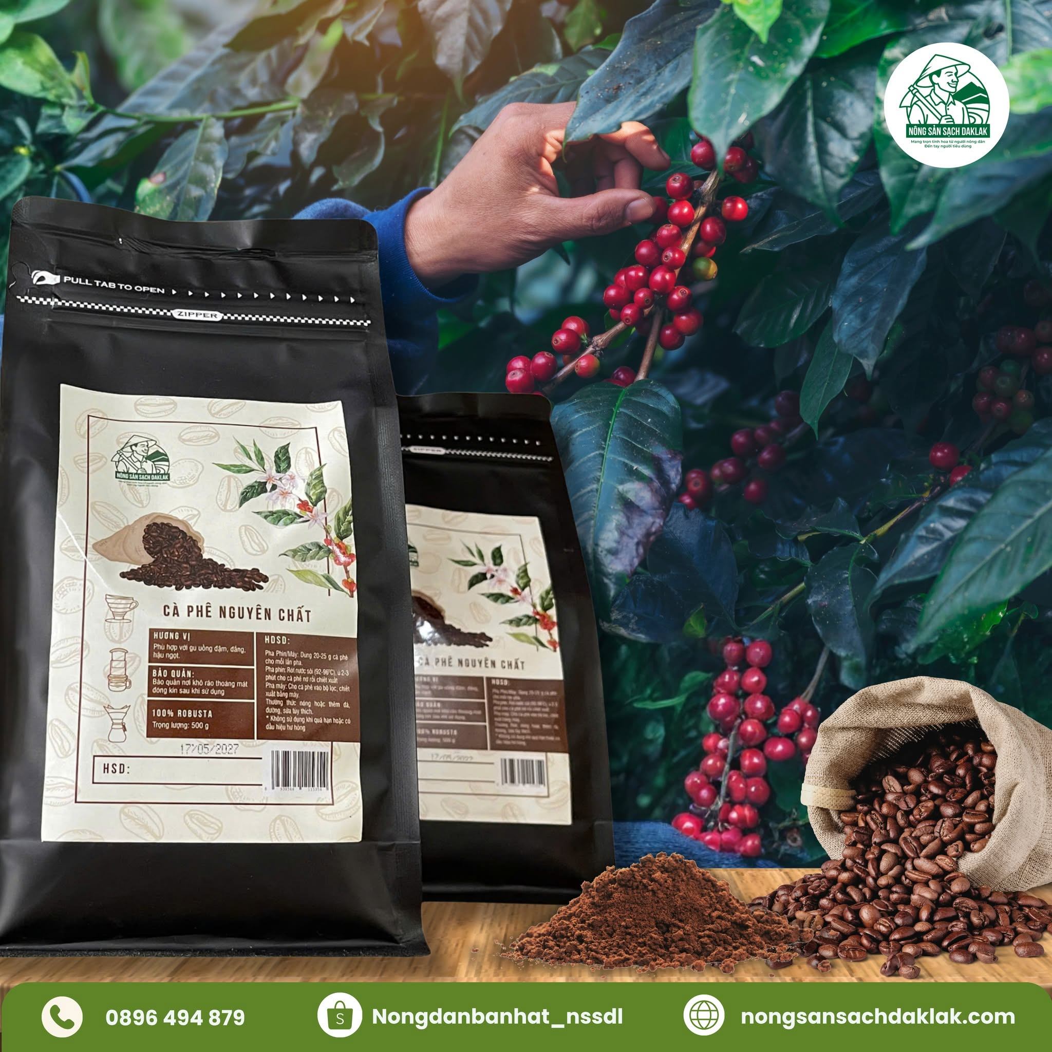 Cà Phê TP.HCM: Từ Không Gian Thưởng Thức Đến Hạt Cà Phê Chuẩn Đắk Lắk
