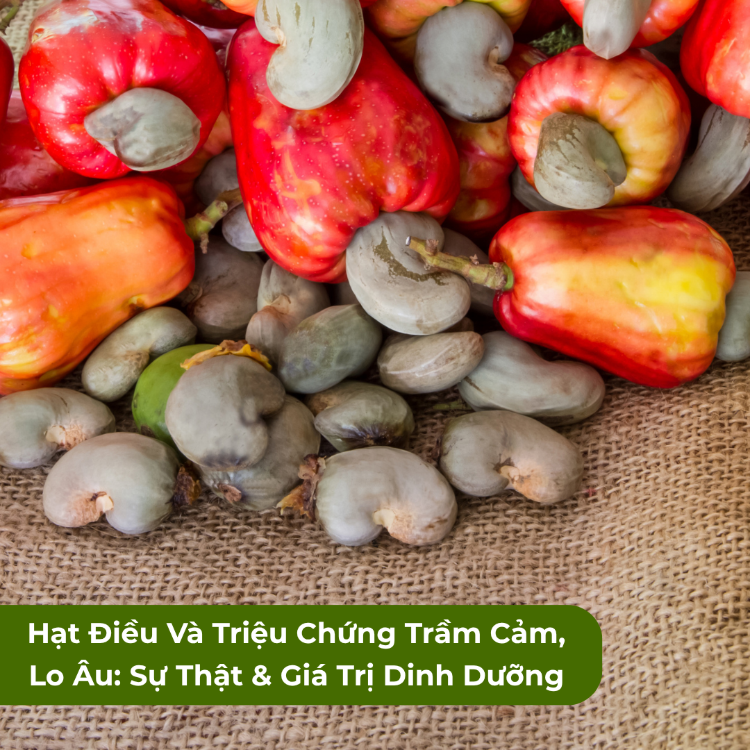 Hạt Điều Và Triệu Chứng Trầm Cảm, Lo Âu: Sự Thật & Giá Trị Dinh Dưỡng