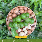 Hạt Mắc Ca Đắk Lắk Chuẩn Sạch: Tinh Túy Từ Đất Đỏ Tây Nguyên