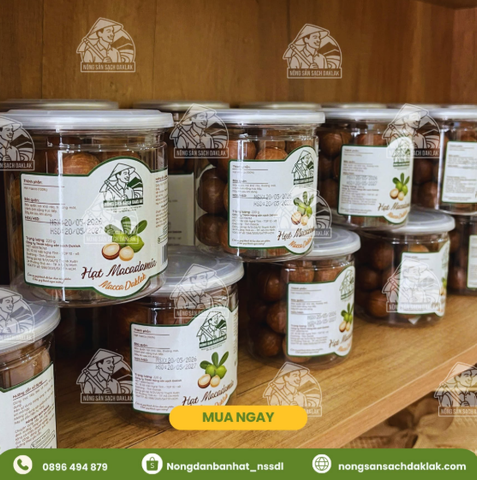 Mua Hạt Macca Giá Rẻ Chuẩn Đắk Lắk Giao Nhanh Tại TPHCM Ở Đâu Uy Tín?