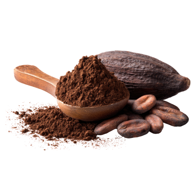 Bột Cacao Nguyên Bơ: Tác Dụng Làm Đẹp, Giá Bán & Bí Quyết Chọn Mua