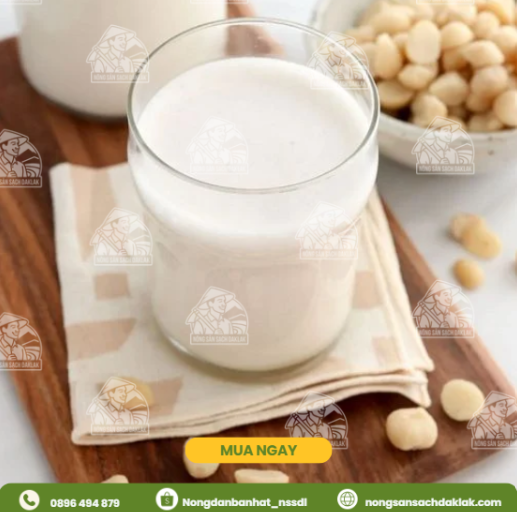 Sữa hạt mắc ca thơm ngon