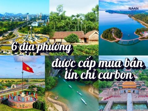 6 địa phương được cấp mua bán tín chỉ carbon: doanh nghiệp cần làm gì để tận dụng ưu đãi sớm