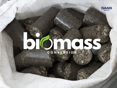 Biomass conversion and biorefinery for captive steam demand