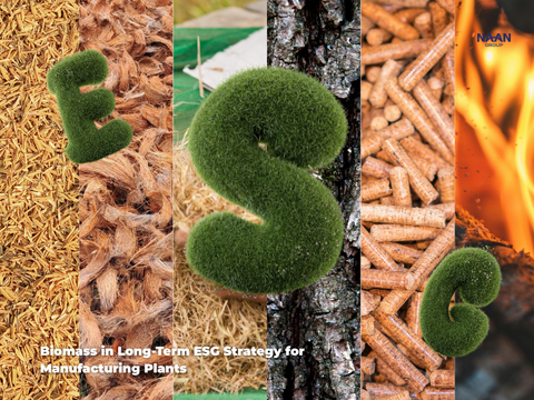 Biomass in Long-Term ESG Strategy for Manufacturing Plants
