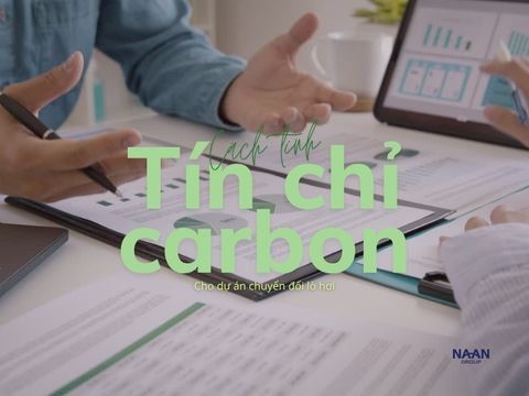 Cách tính tín chỉ carbon cho dự án chuyển đổi lò hơi: phương pháp, dữ liệu và ví dụ tính nhanh