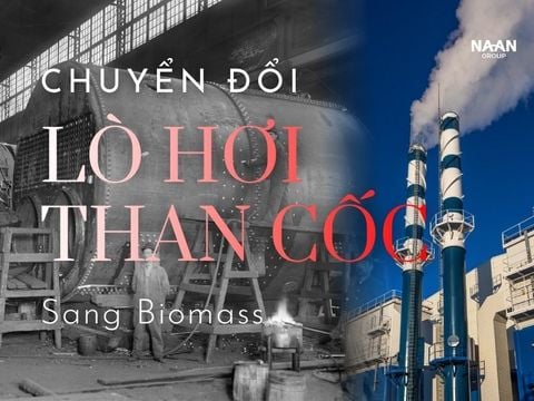 Chuyển Đổi Lò Hơi Than Cốc Sang Biomass: Tiết Kiệm 4.878.500 Kg Nhiên Liệu