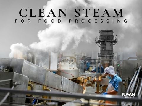 Clean steam for food processing: secure exports, cut costs 25%