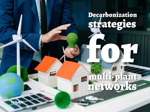 Decarbonization strategies for multi-plant networks: allocating carbon budgets to maximize EBITDA