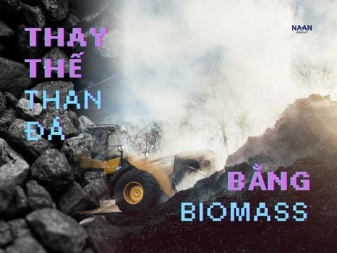 Thay thế than đá bằng biomass: Giảm gần 50% CO₂ từ hệ thống điện than đến lò hơi công nghiệp