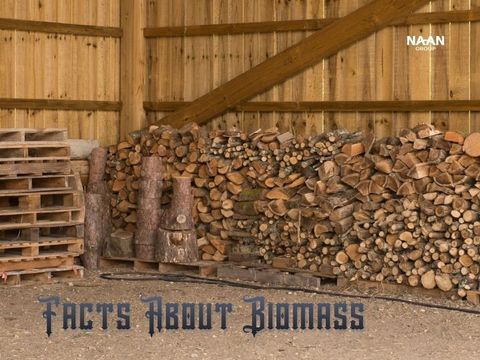 Facts About Biomass: 12 Board-Ready Facts Without Hype