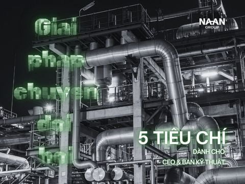 5 Tiêu Chí Chọn Giải Pháp Hơi Chuyển Đổi Xanh Dành Cho CEO & Ban Kỹ Thuật