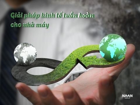 Giải pháp kinh tế tuần hoàn cho nhà máy: Bắt đầu từ đâu để giảm chi phí và phát thải?