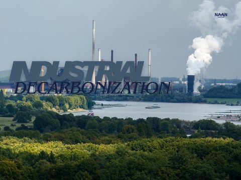 Industrial Decarbonization: Biomass Beats Electrification