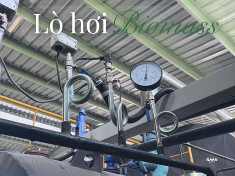 Lò hơi biomass giảm HFC lạnh: thay 300.90 kg R22/R410A