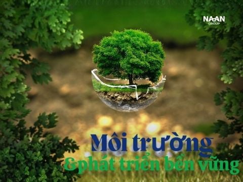 Môi trường & phát triển bền vững: lợi thế trong đấu thầu và xuất khẩu