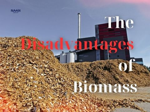 The Disadvantages of Biomass—and How to De-Risk Them in Contracts