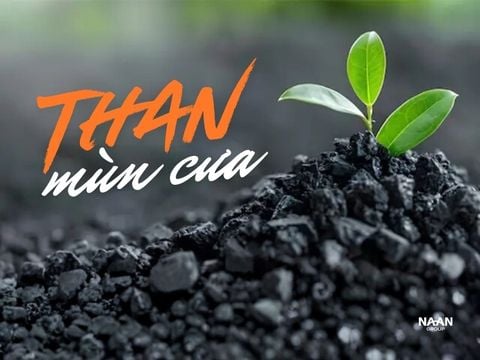 Than mùn cưa cho nhà máy: Thị trường, tiêu chuẩn và ứng dụng trong chiến lược giảm phát thải