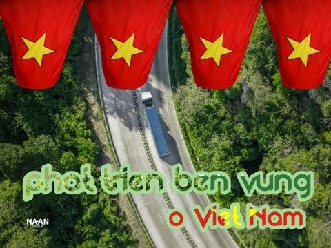 Phát triển bền vững ở Việt Nam: chính sách, ưu đãi & rào cản cho chuyển đổi lò hơi sinh khối