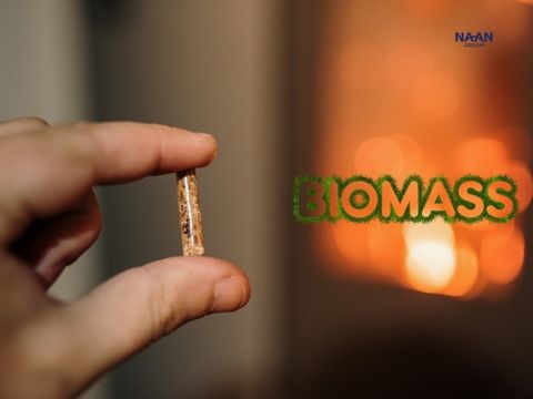 Biomass Advantages You Can Bank On