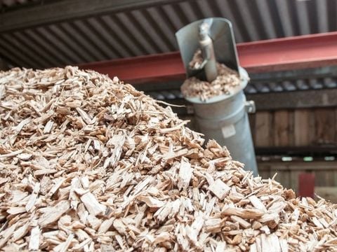 Biomass Boiler: RFQ Clauses & Executive Scorecard