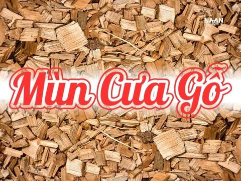 Mùn cưa gỗ: chuỗi cung ứng, ẩm độ & phát thải trong công nghiệp