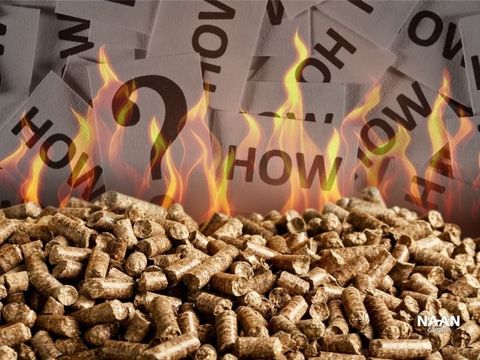 How Does Biomass Energy Work? 10 Bankable Use Cases with $/kg Steam, CO₂ Intensity & Availability Targets