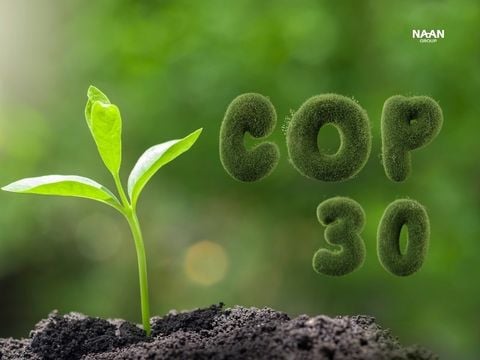 Xu hướng ESG 2025: Tác động từ chính quyền Trump và bài học cho doanh nghiệp Việt Nam