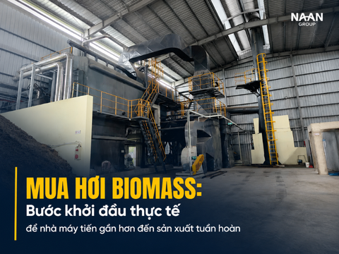Mua hơi biomass: Bước khởi đầu thực tế để nhà máy tiến gần hơn đến sản xuất tuần hoàn