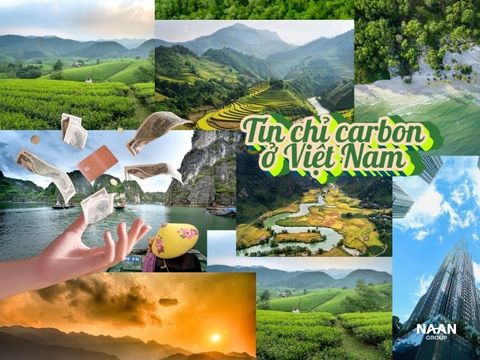 Tín chỉ carbon ở Việt Nam: Khung pháp lý, ETS thí điểm & lộ trình 2025–2030 cho nhà máy lò hơi