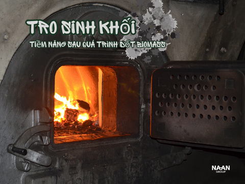 Tro sinh khối tái sử dụng: Tiềm năng sau quá trình đốt biomass