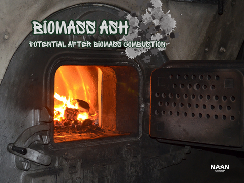 Biomass Ash Reuse: Potential After Biomass Combustion