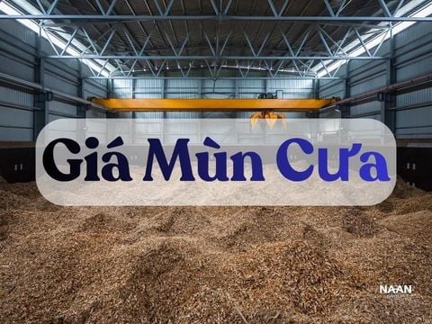Giá mùn cưa: công thức quy đổi chi phí hơi cho nhà máy