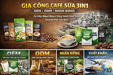 GIA CÔNG CAFE SỮA 3IN1 (OEM / ODM / NHÃN RIÊNG)