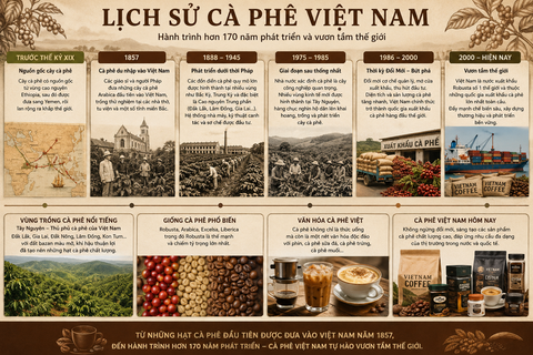 Lịch sử cà phê Việt Nam – Hành trình hơn 170 năm đưa hạt cà phê Việt vươn tầm thế giới