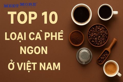 Top 10 Loại Cà Phê Ngon Bán Chạy Nhất Trên Thị Trường Việt Nam Hiện Nay