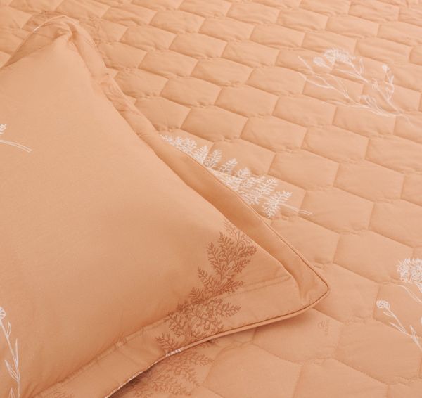 Vải Cotton là gì? Vì sao chăn ga cotton được ưa chuộng