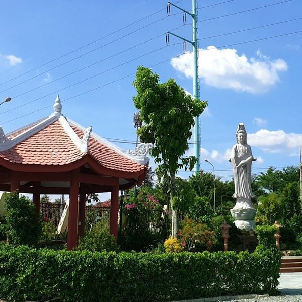 Thiết Kế Khu Vườn Thiền Tại Nhà – Không Gian Bình Yên Để Trở Về