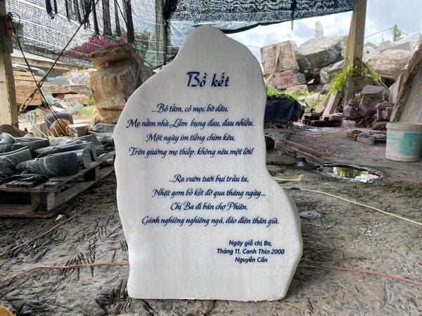 Hình ảnh bài viết