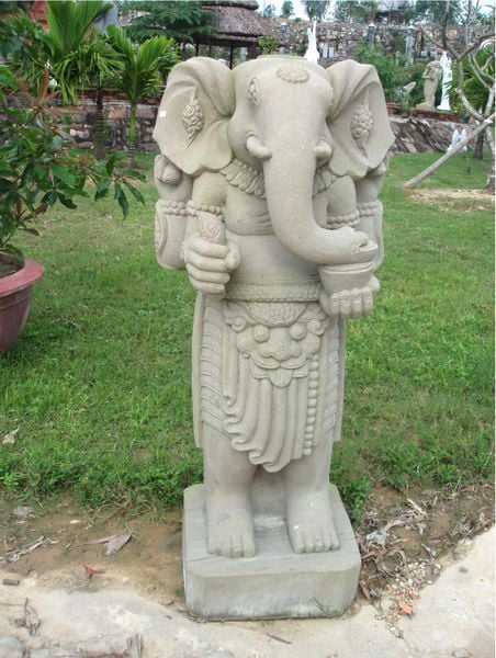 Hình ảnh bài viết