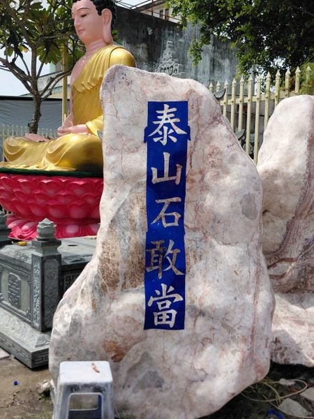 Hình ảnh bài viết