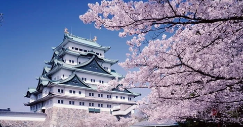 Du Lịch Nagoya: Địa Điểm Đẹp, Ăn Gì & Kinh Nghiệm Chi Tiết