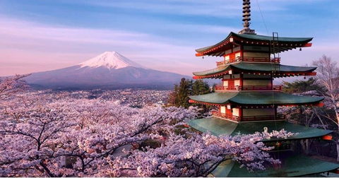 Tour Du Lịch Nhật Bản 2026: Top 3 Hành Trình Đẹp Nhất Từ Tokyo Đến Hokkaido