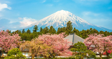 Du Lịch Fuji 2026: Top 7 Địa Điểm Đẹp, Món Ăn Ngon & Kinh Nghiệm Du Lịch